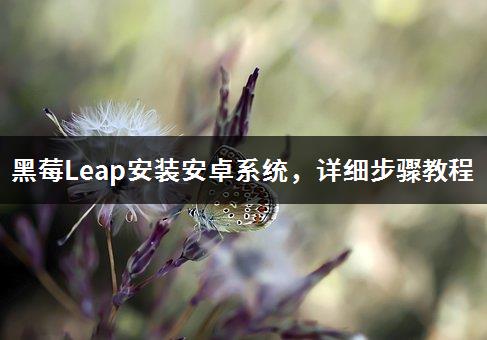 黑莓Leap安装安卓系统，详细步骤教程-1