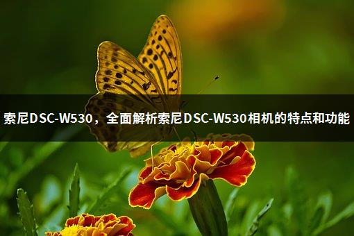 索尼DSC-W530，全面解析索尼DSC-W530相机的特点和功能-1